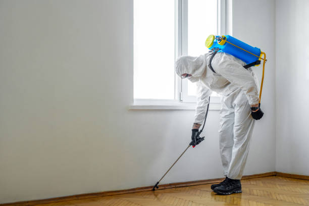 Best Fumigation Services  in Wales, WI